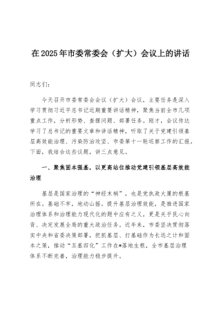 在2025年市委常委会（扩大）会议上的讲话