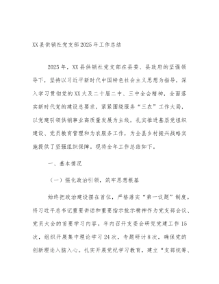 XX县供销社党支部2025年工作总结