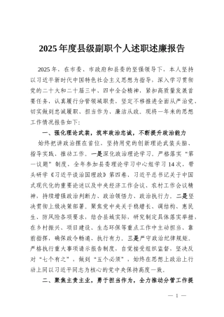 2025年度县级副职个人述职述廉报告