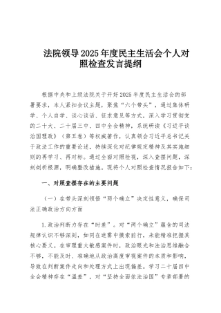 法院领导2025年度民主生活会个人对照检查发言提纲