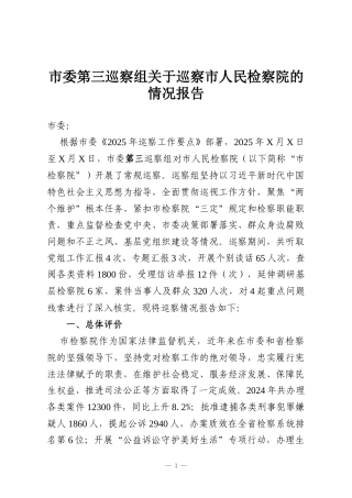 市委第三巡察组关于巡察市人民检察院的情况报告