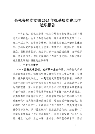 县税务局党支部2025年抓基层党建工作述职报告