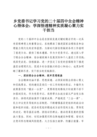 乡党委书记学习党的二十届四中全会精神心得体会：学深悟透精神实质凝心聚力实干担当