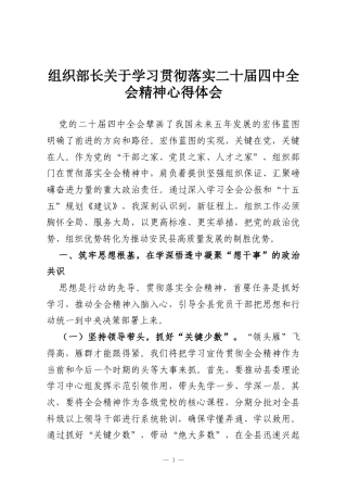 组织部长关于学习贯彻落实二十届四中全会精神心得体会