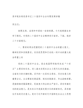 某市税务局党委书记二十届四中全会专题党课讲稿