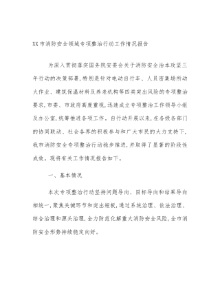 XX市消防安全领域专项整治行动工作情况报告