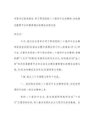 市委书记宣讲报告_学习贯彻党的二十届四中全会精神,加快推动重要节点和重要增长极建设成势见效