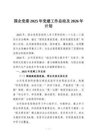 国企党委2025年党建工作总结及2026年计划