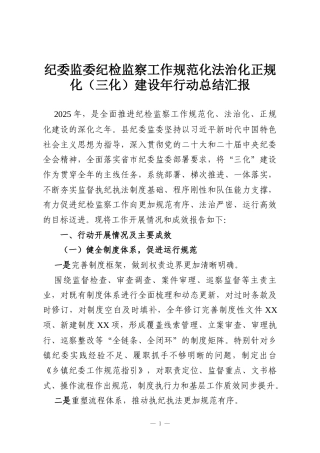 纪委监委纪检监察工作规范化法治化正规化（三化）建设年行动总结汇报