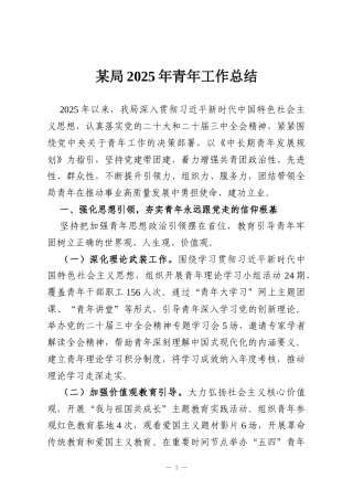 某局2025年青年工作总结