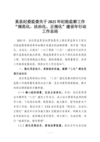 某县纪委监委关于2025年纪检监察工作“规范化、法治化、正规化”建设年行动工作总结