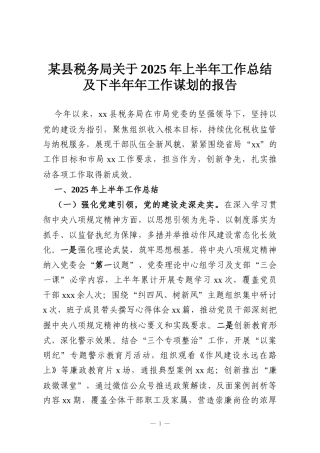 某县税务局关于2025年上半年工作总结及下半年年工作谋划的报告