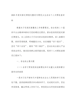 2025年度巡察反馈意见整改专题民主生活会个人对照检查材料