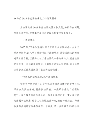 XX单位2025年度法治建设工作情况报告