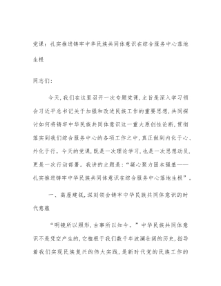 党课：扎实推进铸牢中华民族共同体意识在综合服务中心落地生根