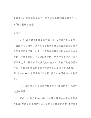 专题党课：深学细悟党的二十届四中全会精神凝聚奋进_十五五_新征程磅礴力量