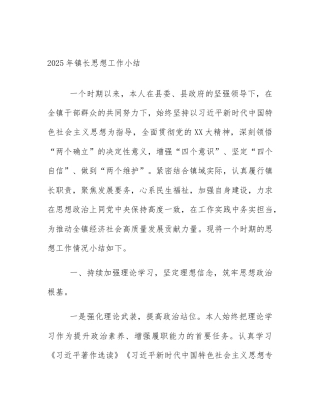 2025年镇长思想工作小结