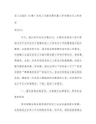 在工业园区（X镇）农民工欠薪问题处置工作专题会议上的讲话