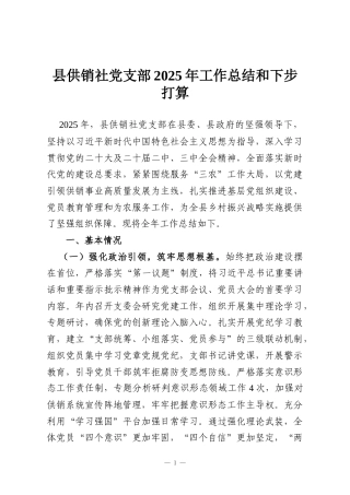 县供销社党支部2025年工作总结和下步打算