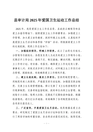 县审计局2025年爱国卫生运动工作总结