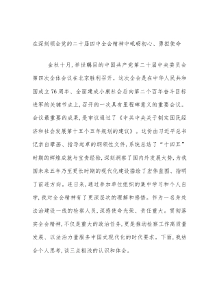 在深刻领会党的二十届四中全会精神中砥砺初心、勇担使命