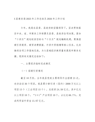 X县商务局2025年工作总结及2026年工作计划