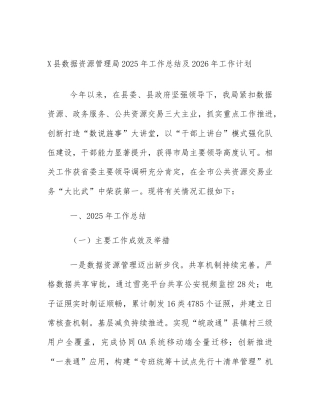 X县数据资源管理局2025年工作总结及2026年工作计划