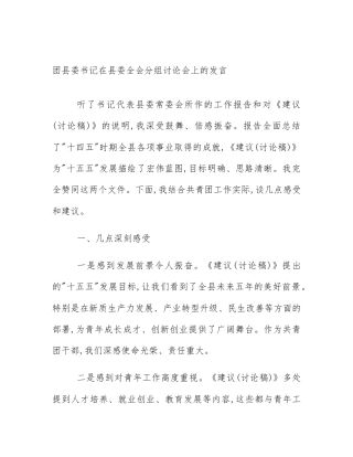 团县委书记在县委全会分组讨论会上的发言