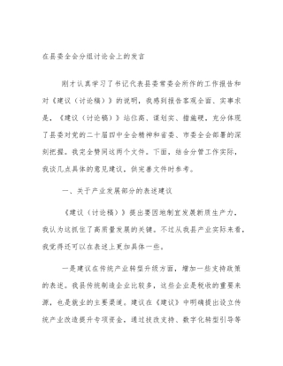 在县委全会分组讨论会上的发言