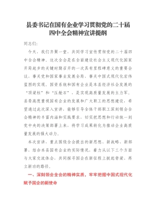 县委书记在国有企业学习贯彻党的二十届四中全会精神宣讲提纲