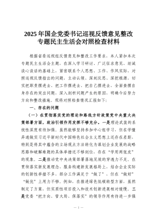 2025年国企党委书记巡视反馈意见整改专题民主生活会对照检查材料