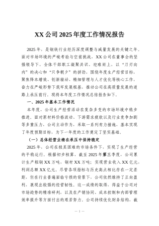 XX公司2025年度工作情况报告