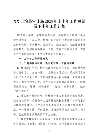 XX自治县审计局2025年上半年工作总结及下半年工作计划