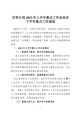 区审计局2025年上半年重点工作总结及下半年重点工作谋划
