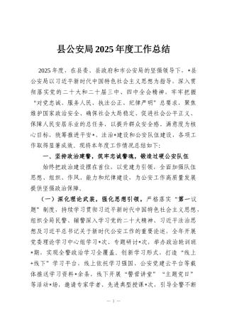 县公安局2025年度工作总结