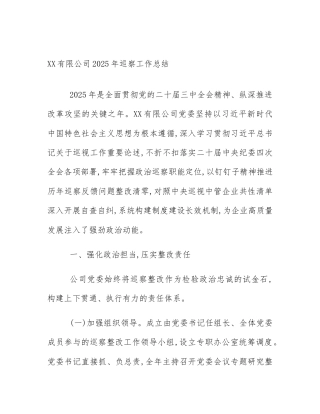 XX有限公司2025年巡察工作总结