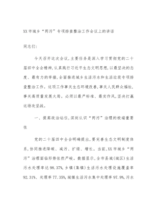 XX市城乡“两污”专项排查整治工作会议上的讲话