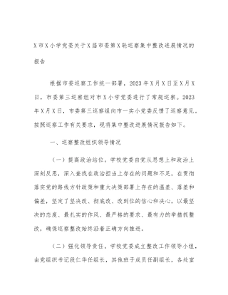 X市X小学党委关于X届市委第X轮巡察集中整改进展情况的报告