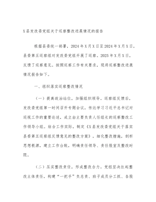 X县发改委党组关于巡察整改进展情况的报告