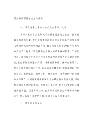 国企书记项目年度总结报告