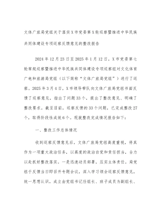 文体广旅局党组关于落实X市党委第X轮巡察暨推进中华民族共同体建设专项巡察反馈意见的整改报告