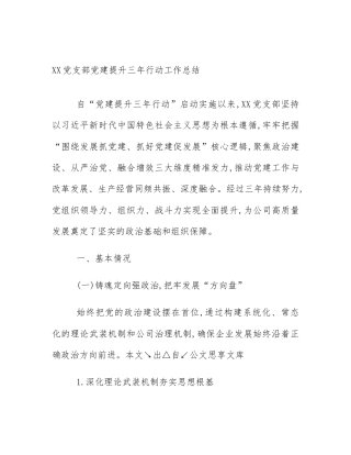 XX党支部党建提升三年行动工作总结