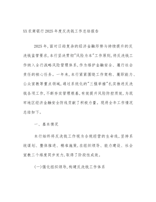 XX农商银行2025年度反洗钱工作总结报告