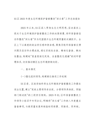 XX区2025年度生态环境保护督察整改_回头看_工作总结报告
