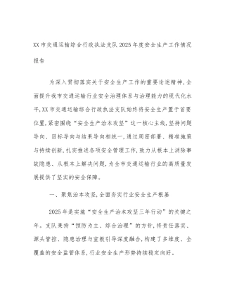 XX市交通运输综合行政执法支队2025年度安全生产工作情况报告