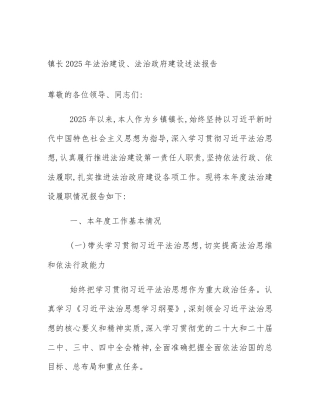 镇长2025年法治建设、法治政府建设述法报告
