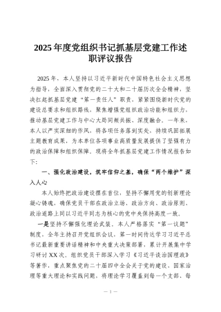2025年度党组织书记抓基层党建工作述职评议报告