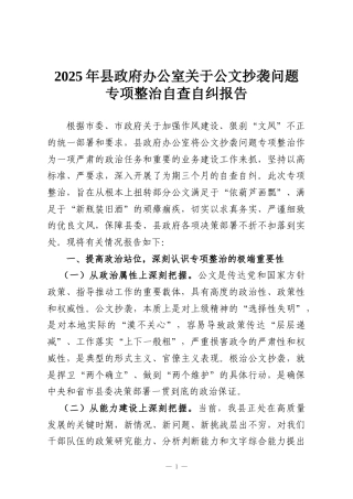 2025年县政府办公室关于公文抄袭问题专项整治自查自纠报告