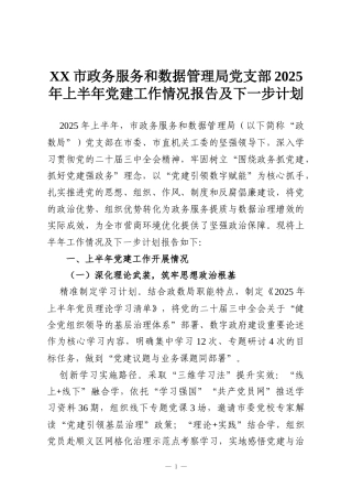 XX市政务服务和数据管理局党支部2025年上半年党建工作情况报告及下一步计划