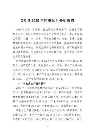 XX县2025年经济运行分析报告
